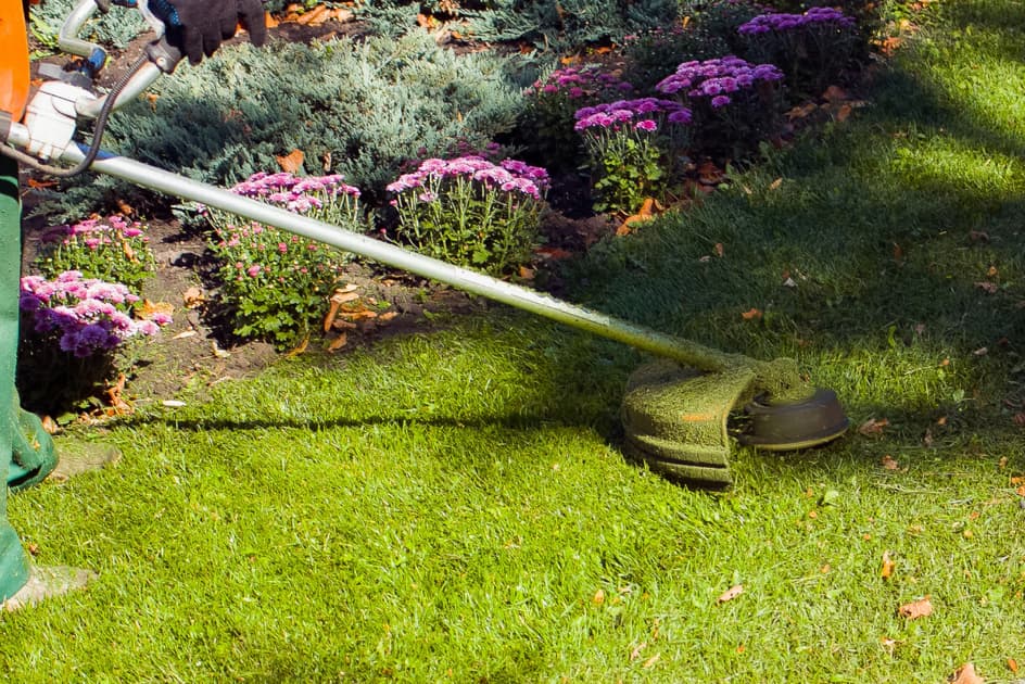 Изборът на идеалния тример за трева: Как да намерите подходящия модел за вашата градина
